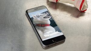 Juno, a husky from Phoenix experiences snow in the Dingo Raw Happiness Facebook mobile canvas ad.