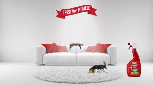Nature's Miracle white couch print and social media advertising
