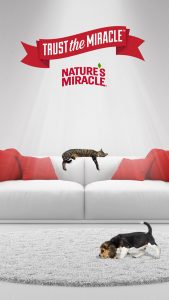 Nature's Miracle white couch print and social media advertising