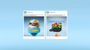 FURminator: Shedlings Facebook posts - social media campaign
